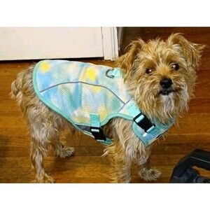 Kuoser Reflective Mesh Soft/Vest Dog Harness, Adjustable, Size M, Blue/Yellow